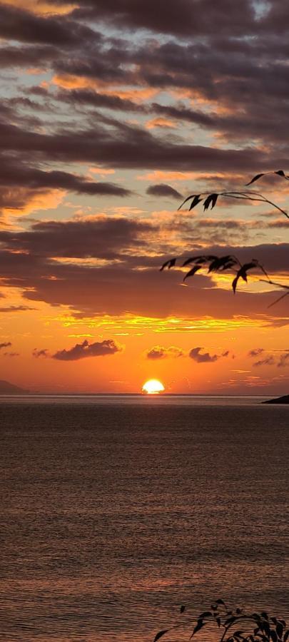 Sunset Boulevard Hotel Κηπαρό Εξωτερικό φωτογραφία